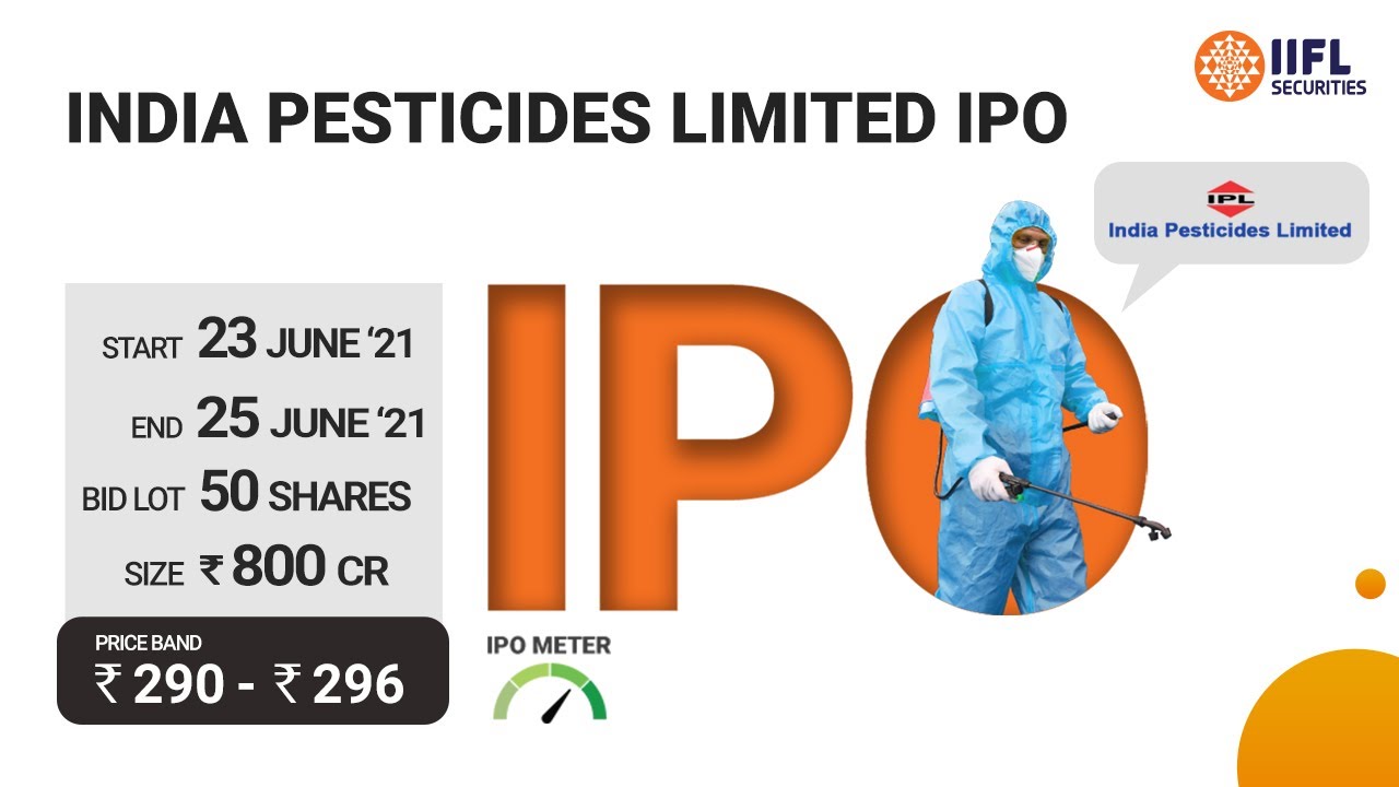 How to check IPO allotment status TechStory