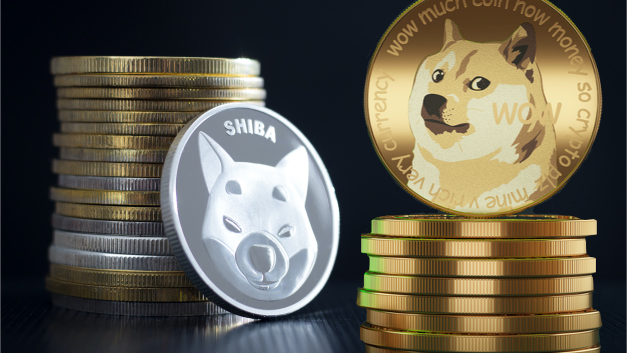 Shiba Inu and Dogecoin to be 10th largest crypto assets by market