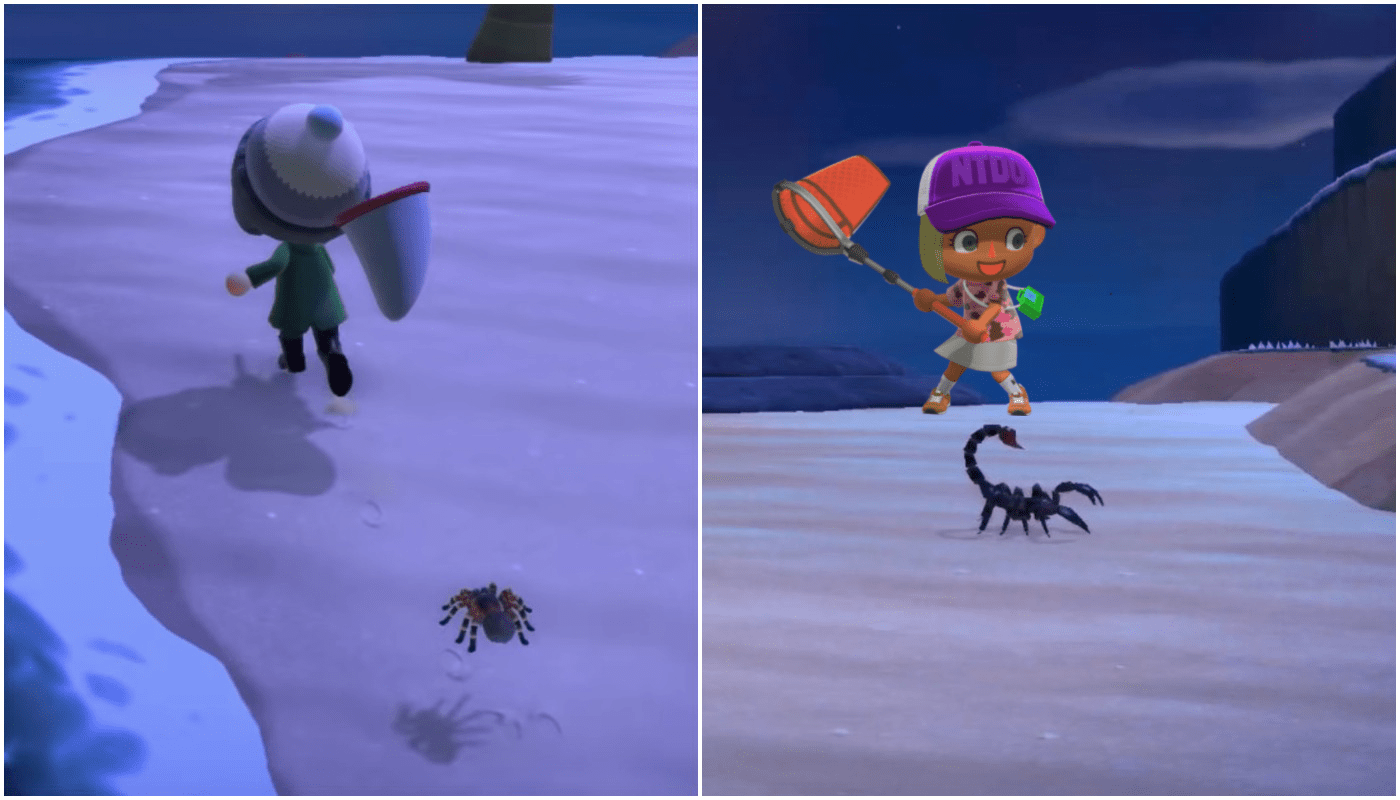 How to catch a scorpion in Animal Crossing? TechStory
