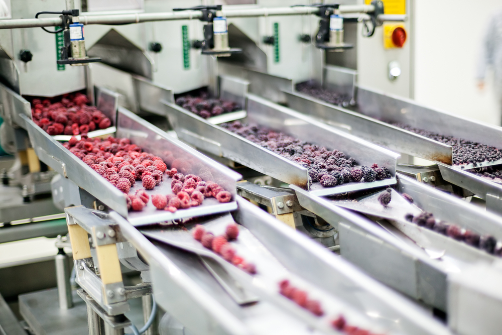 How Food Processing Methods Affect Your Packaging Methods? Tech Strange How Food Processing Methods Affect Your Packaging Methods? Tech Strange