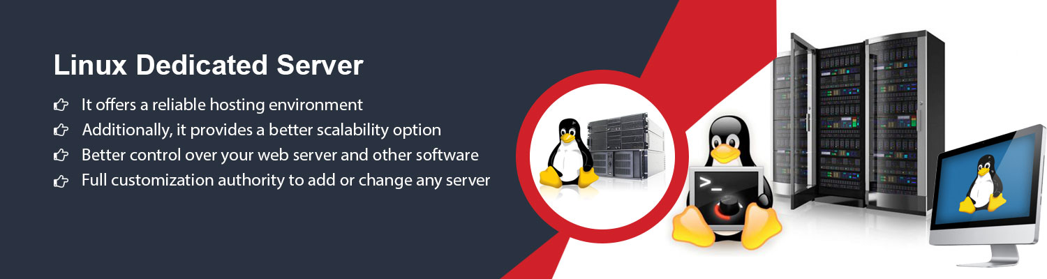Linux dedicated server Dubai, Dedicated web hostingTech Support Dubai