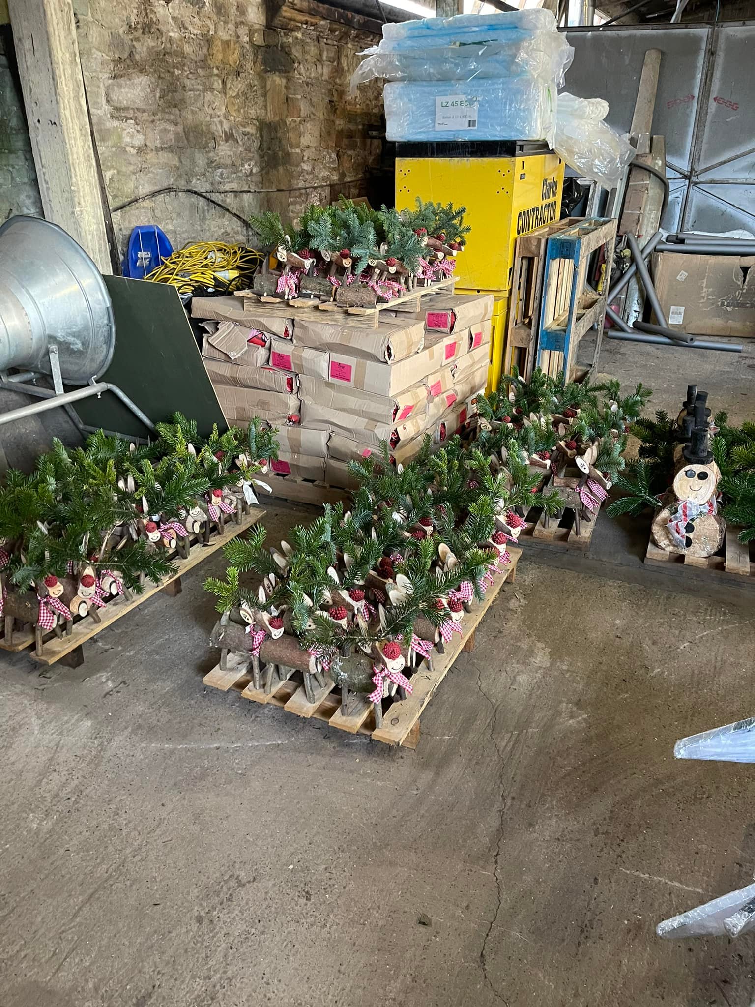 Scott's House Farm Christmas Trees Range of Christmas Trees available