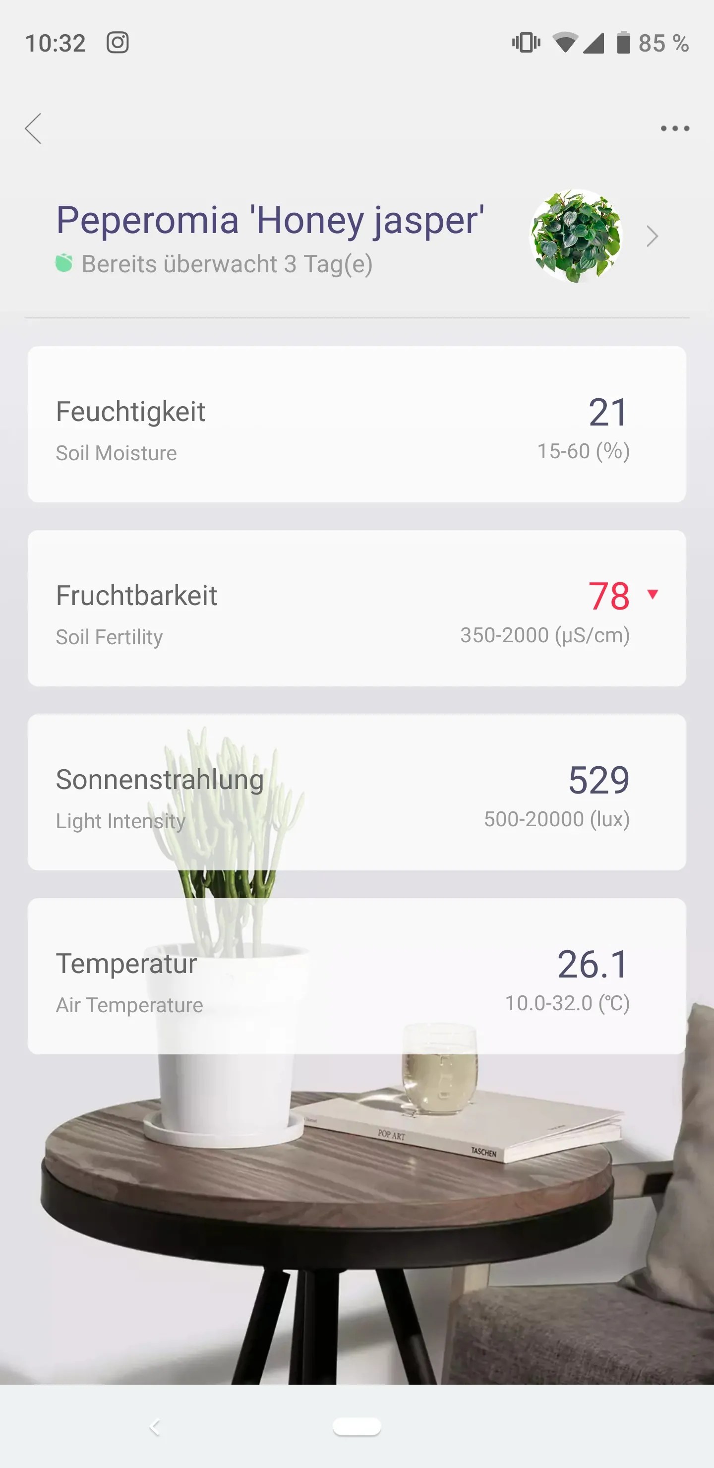 Xiaomi Mi Plant Flower Care im Test Techtest