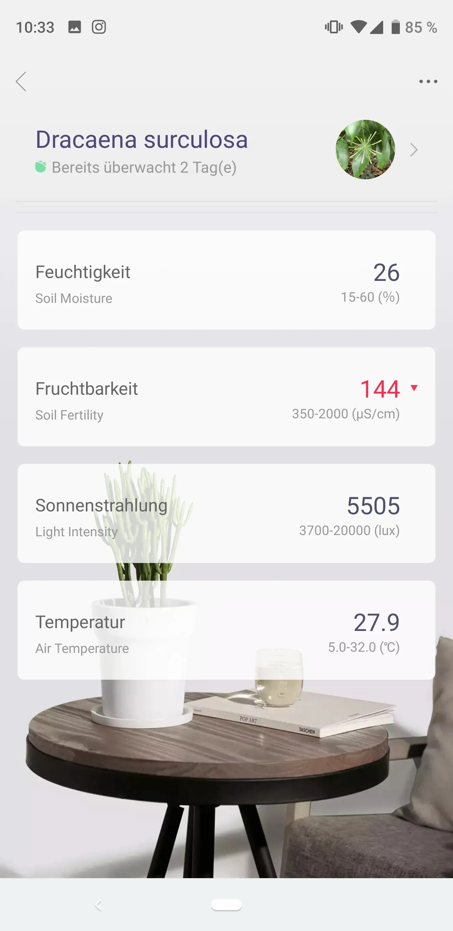 Xiaomi Mi Plant Flower Care im Test Techtest