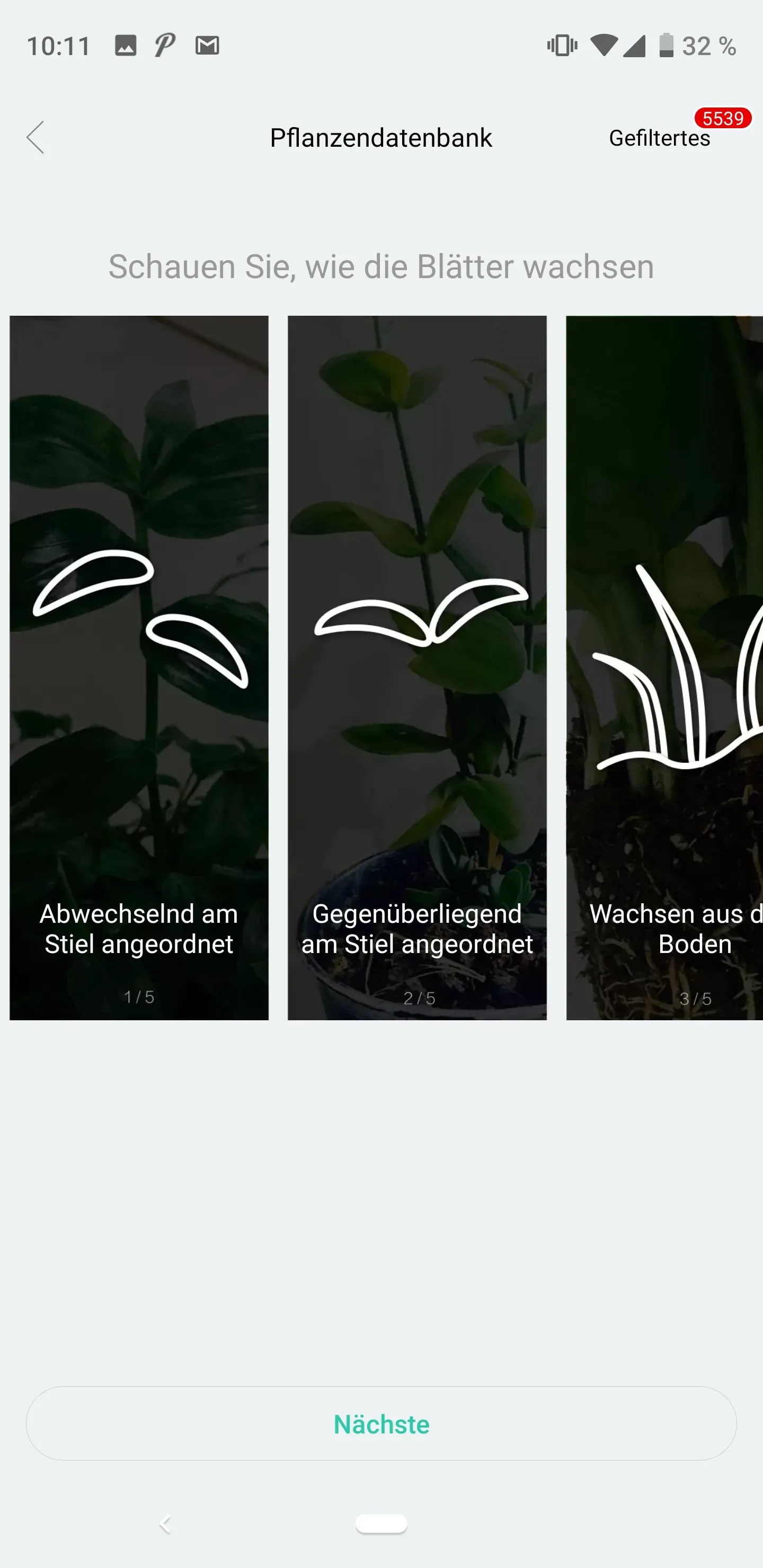Xiaomi Mi Plant Flower Care im Test Techtest