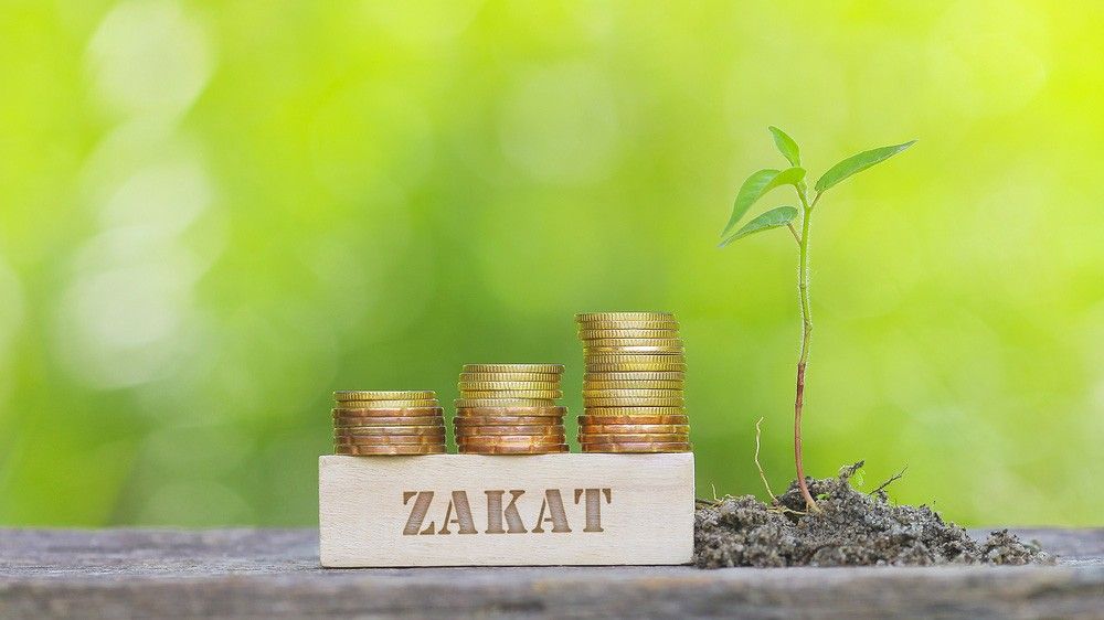 How much zakat do you pay? TechTesy