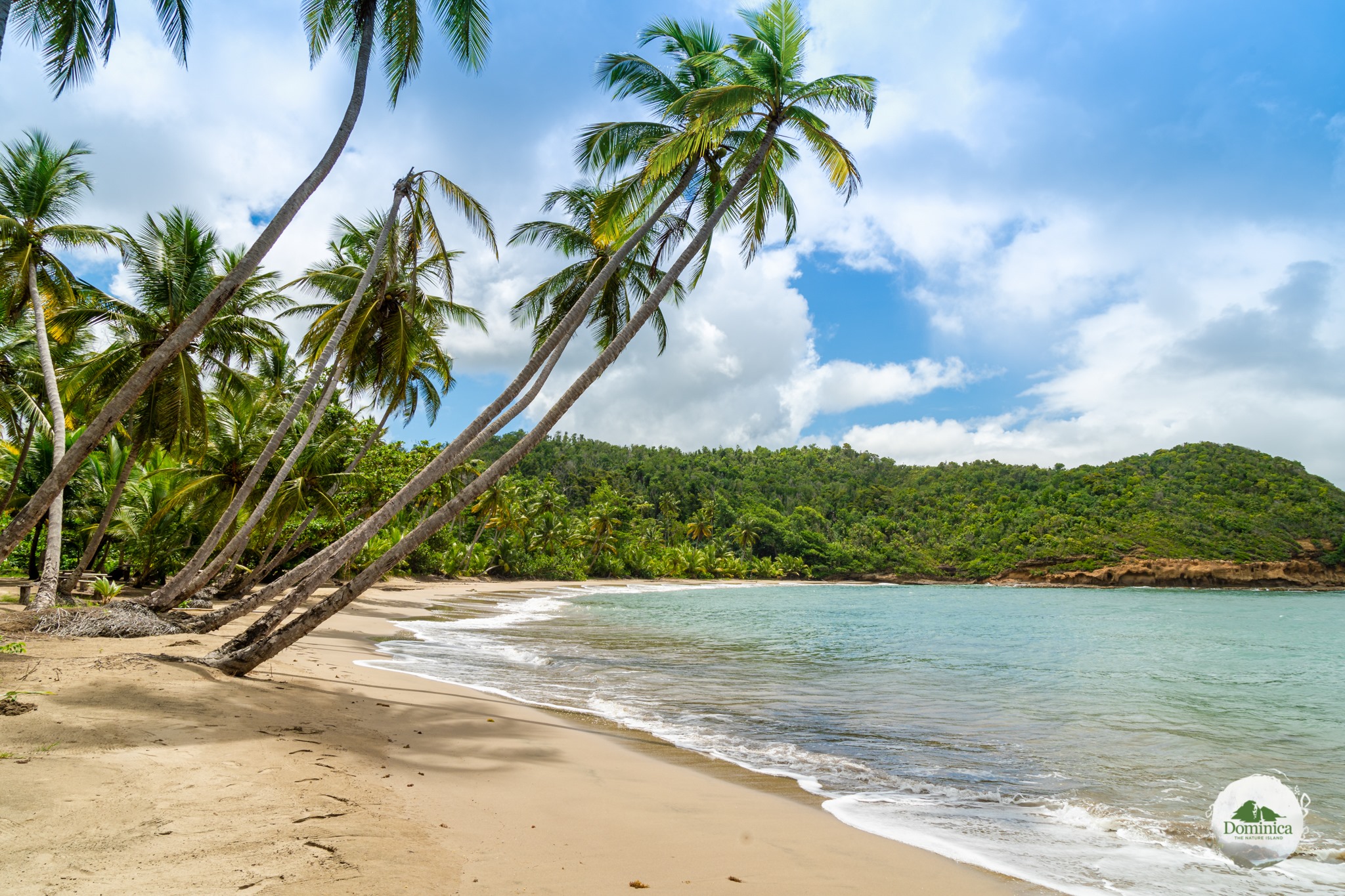 Does Dominica have nice beaches? TechTesy