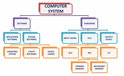 Computer System And Organization Class 11 Notes | Computer Science