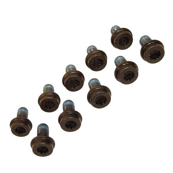 Flywheel Mounting Bolts VR6, V6, V8 & W12 (set of 10) Techtonics Tuning