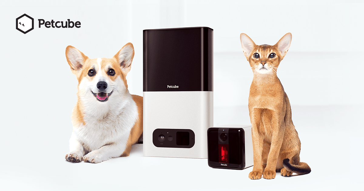 Petcube the most advanced interactive pet cameras · Showcases