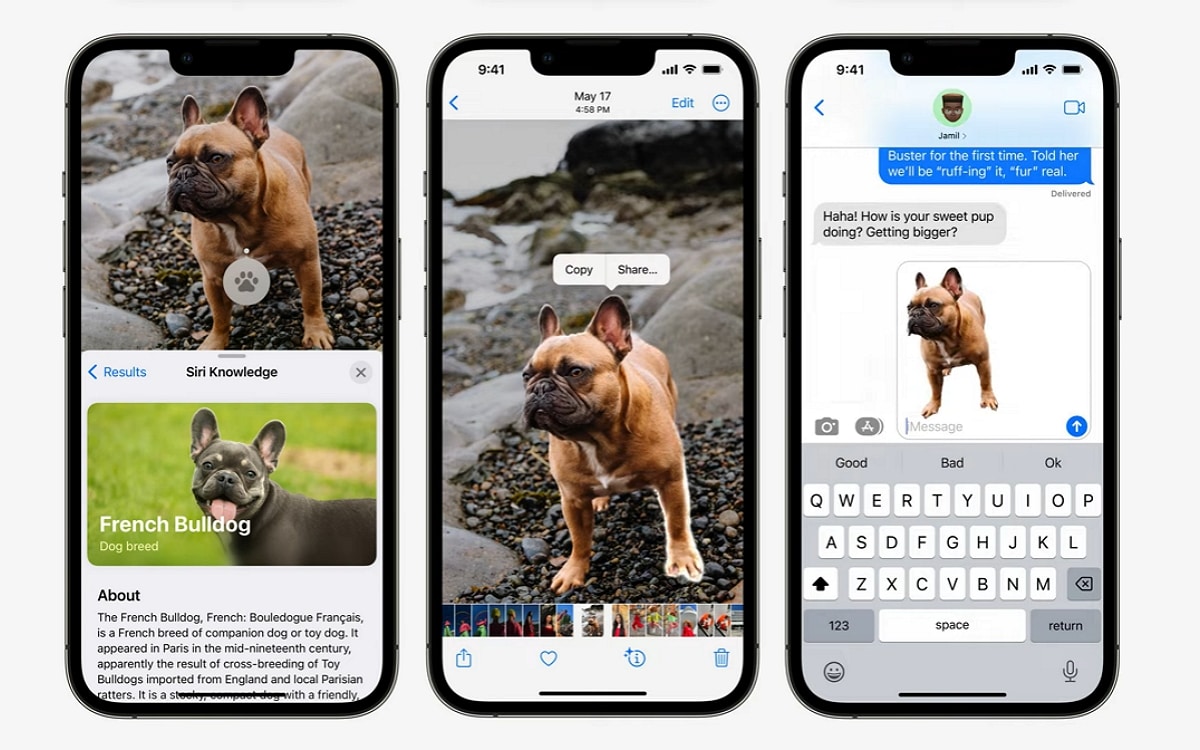 iPhone iOS 16 allows you to remove the background from an image, here