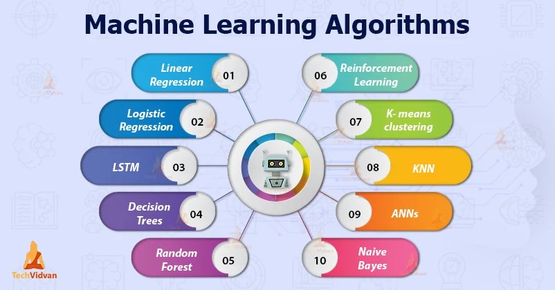 What is Machine Learning Algorithms? KidML
