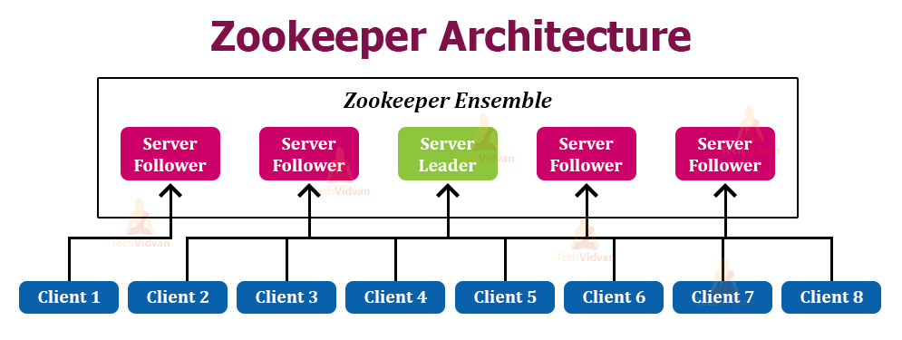 Apache Zookeeper Tutorial for Beginners TechVidvan