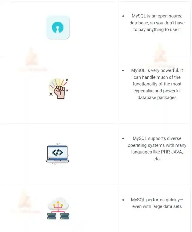 Node.js MySQL TechVidvan