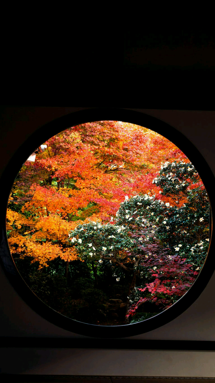 29 Most Beautiful Bing Wallpapers For Android Phones TechViola