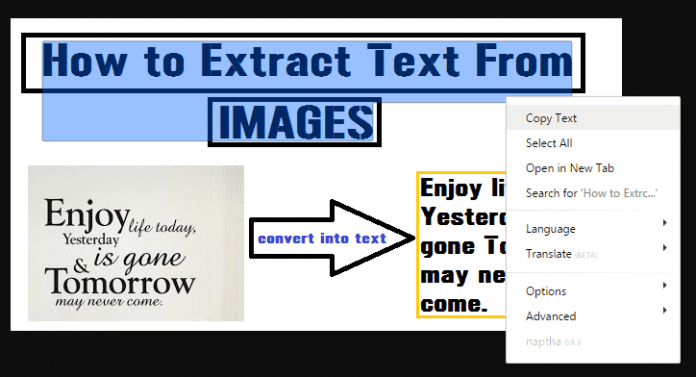 How To Extract And Copy Text From Any Image In PC (4 Methods)