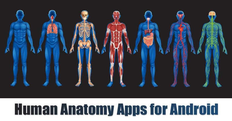 10 Best Human Anatomy Apps for Android in 2020