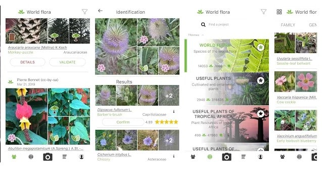 10 Best Apps To Identify Anything Using Your Phone's