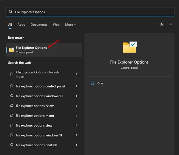 How to Show File Extensions in Windows 11 (4 Methods)