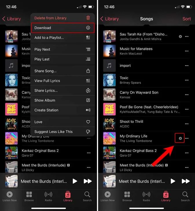 How to Set a Song as Alarm on iPhone (Apple Music, Spotify, and MP3)