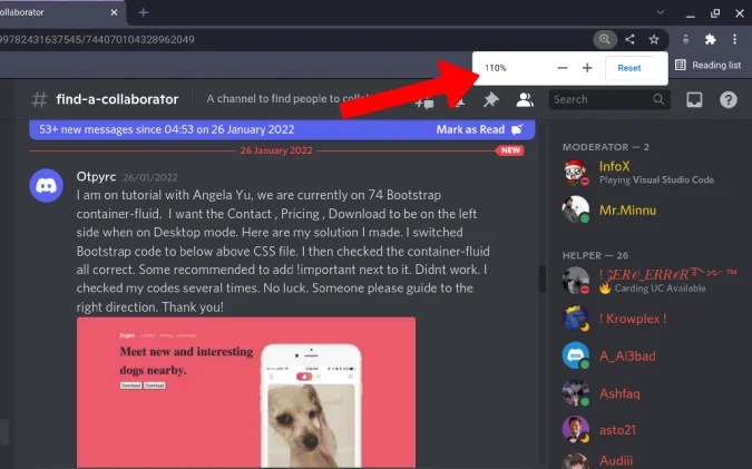 How to Zoom In and Zoom Out on Discord TechWiser
