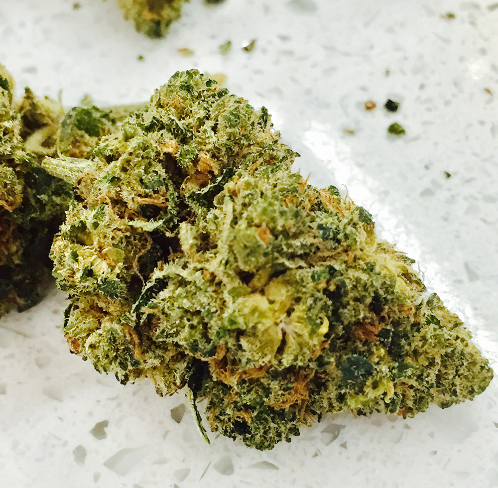 How Can You Use CBD Flower Strains? Tech World Zone