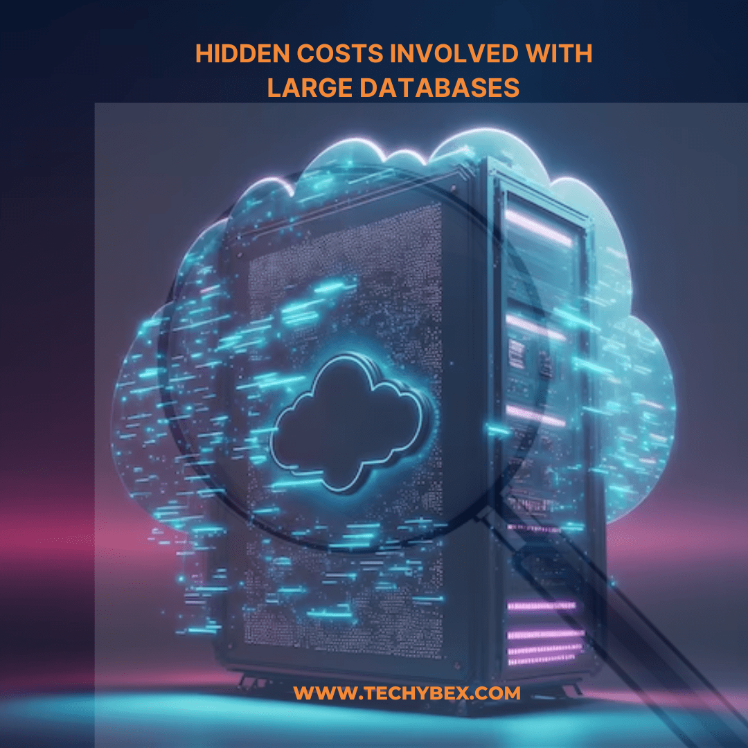 Hidden costs arise as an organization's database grows in size(05)