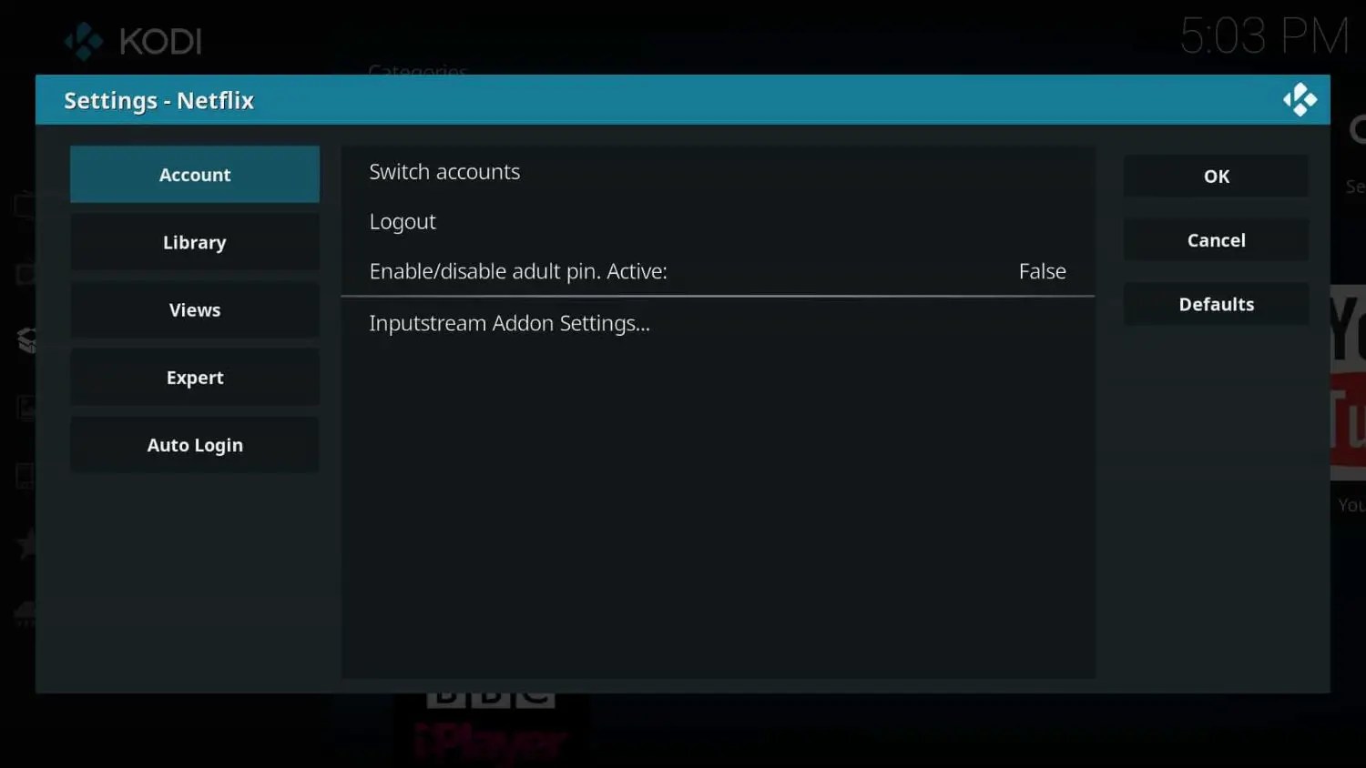 How To Install Netflix On Kodi? Complete Guide