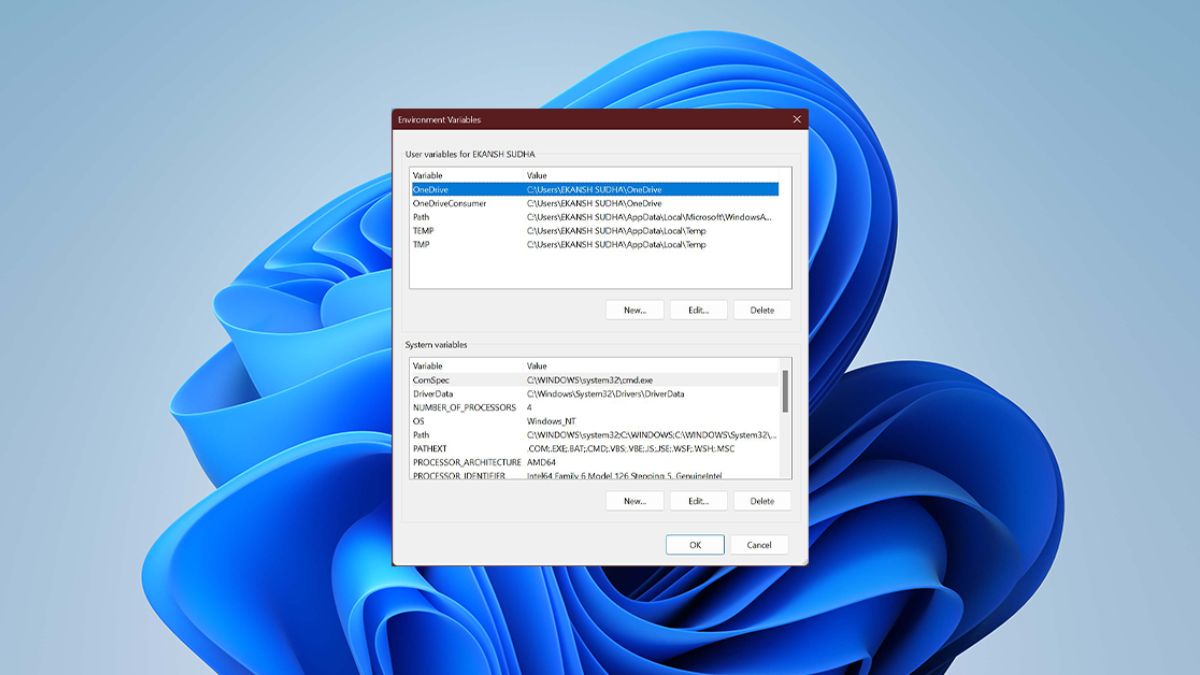 How to Fix Environment Variables Not Working in Windows 11 TechYorker