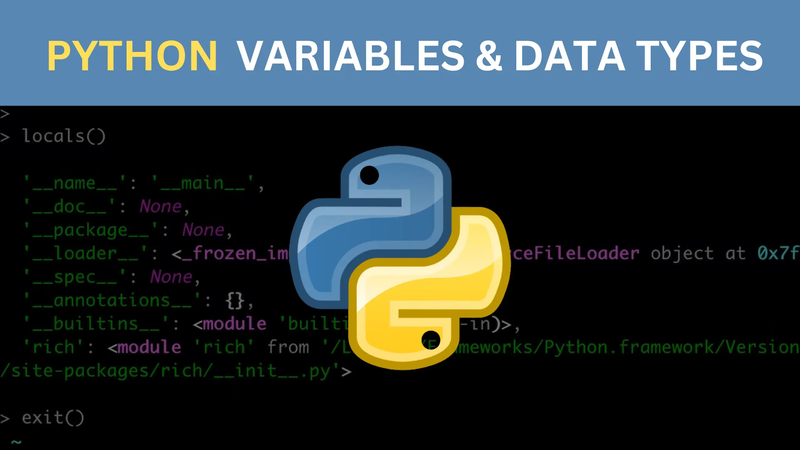 A Comprehensive Guide to Python Variables and Data Types