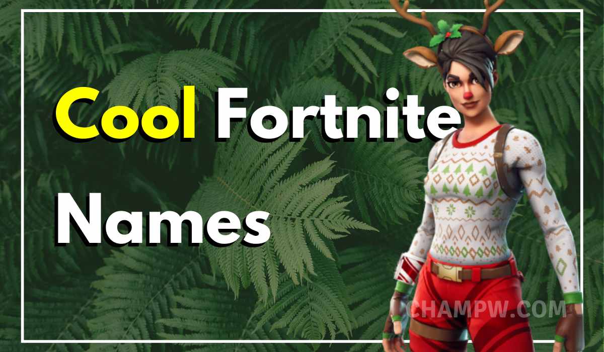 500+ Fortnite Names Cool, Funny and Unique Ideas TechyWhale