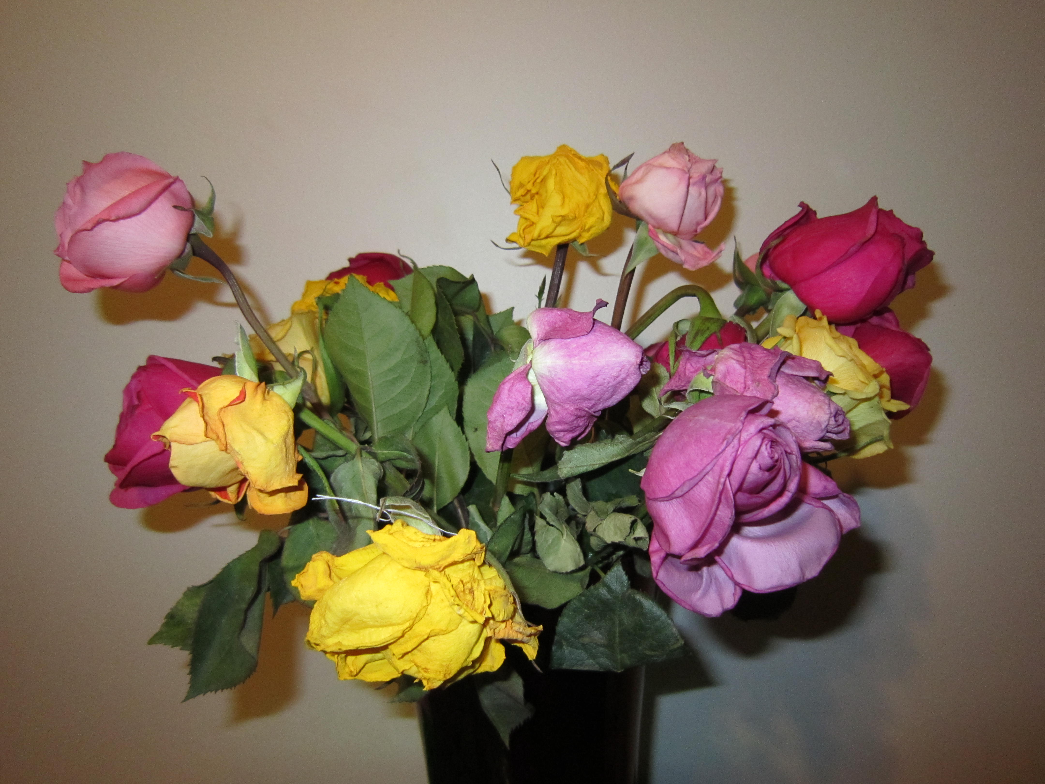 Why Not To Order Flowers Online Proflowers vs. Florists TeckBay