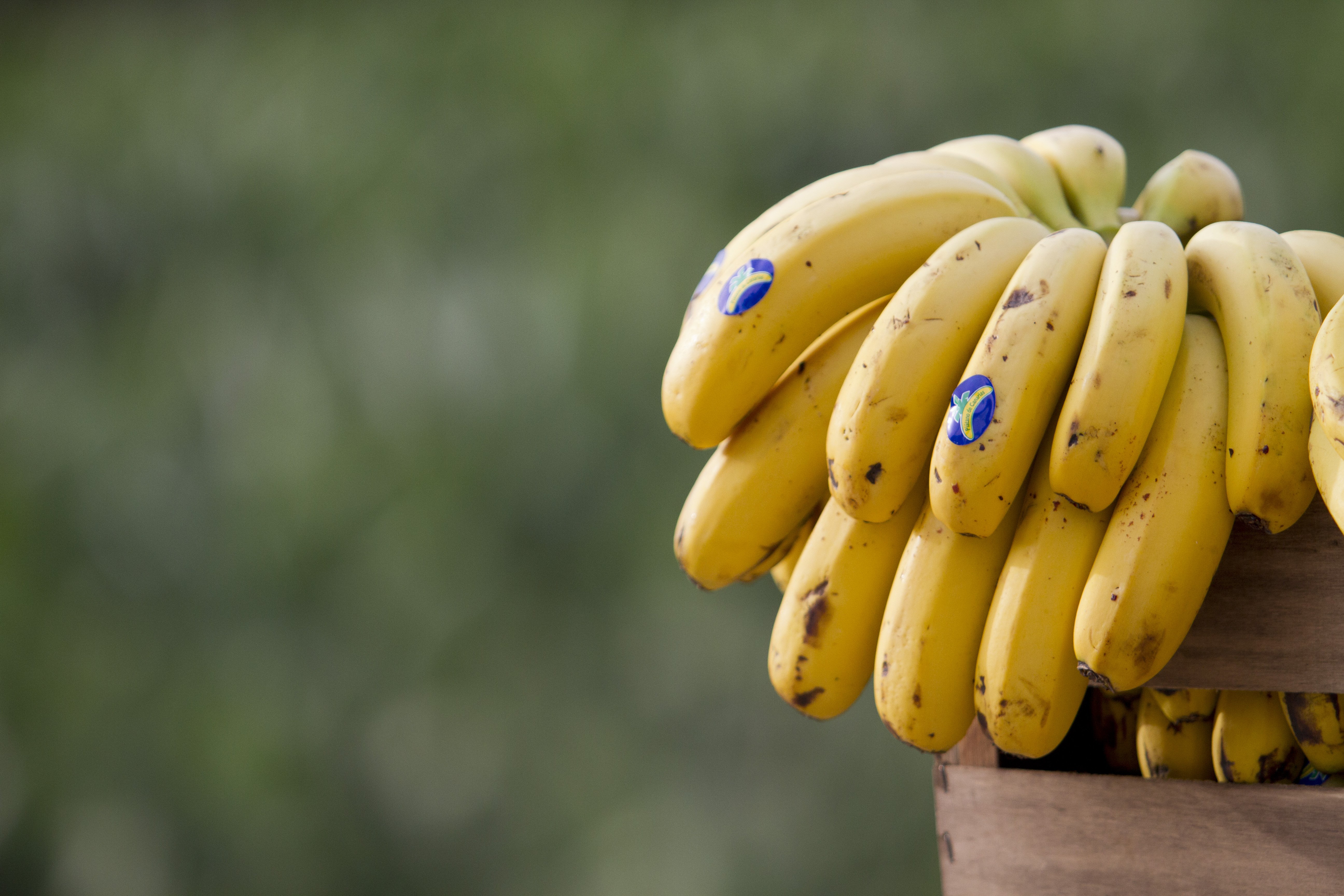 Plátano de Canarias, un superalimento muy saludable