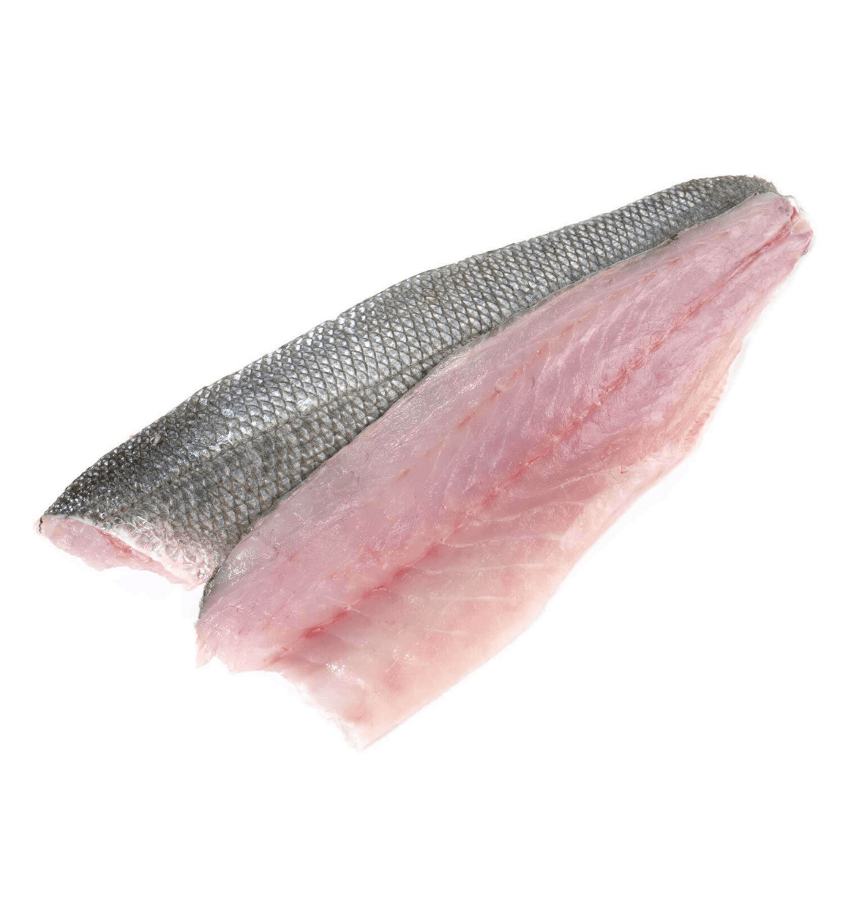 Sea Bass Fillet Teco Foods