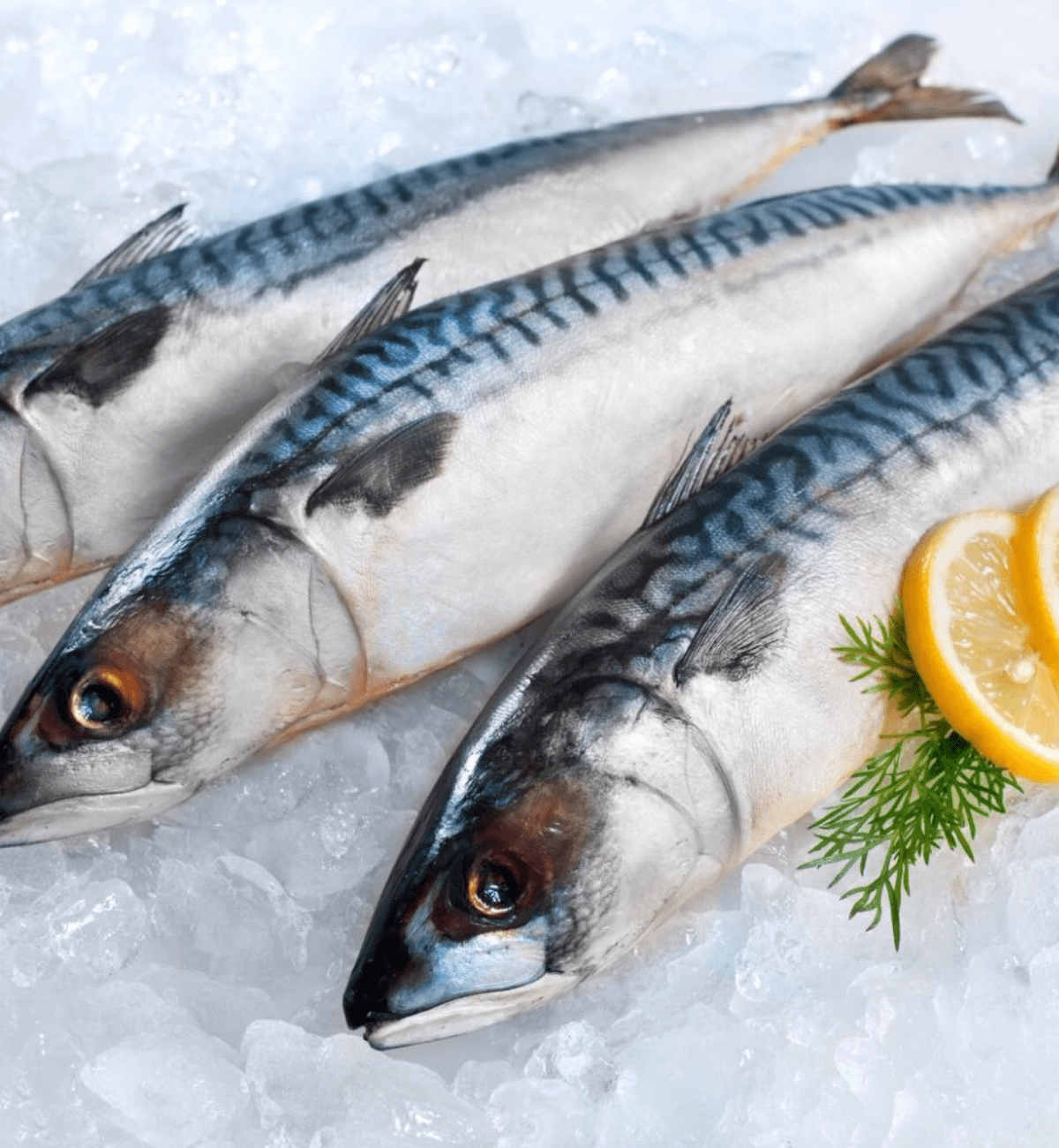 Mackerel Teco Foods