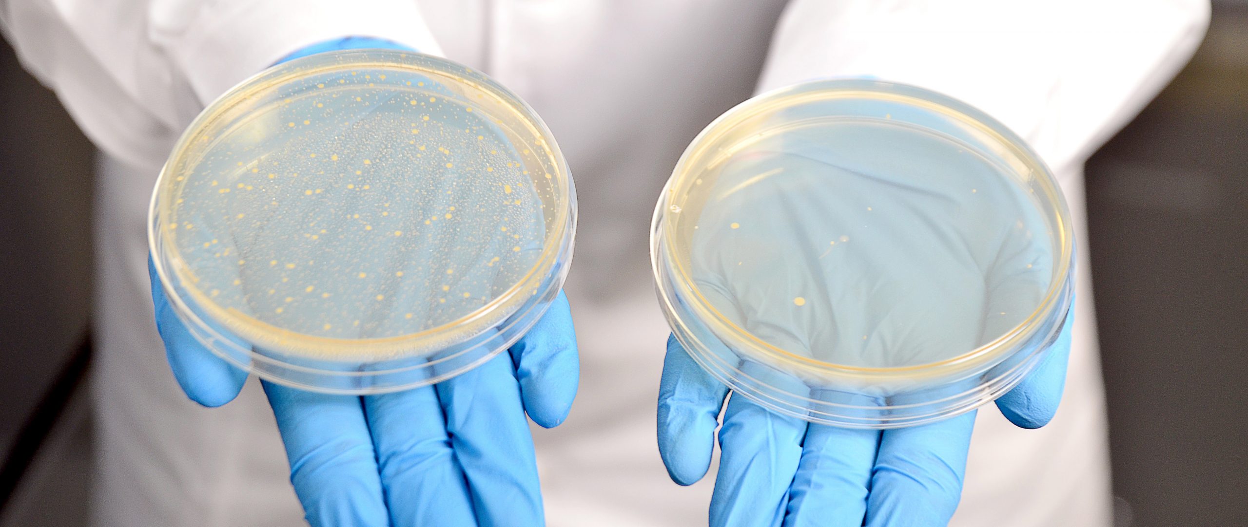 Antimicrobial Glove Testing TECOLAB