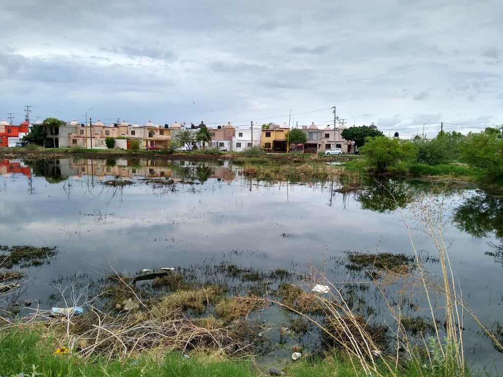 Los brotes del drenaje continúan en Campo Nuevo Zaragoza de Torreón