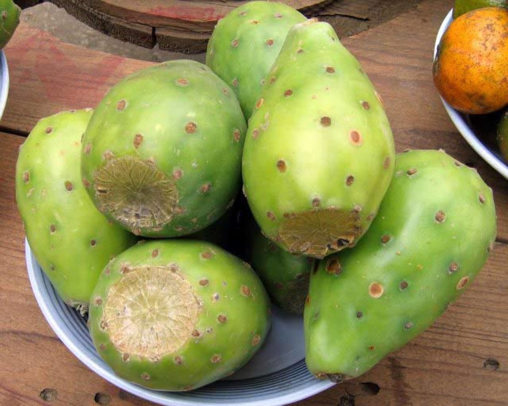 La tuna y sus beneficios El Siglo de Torreón