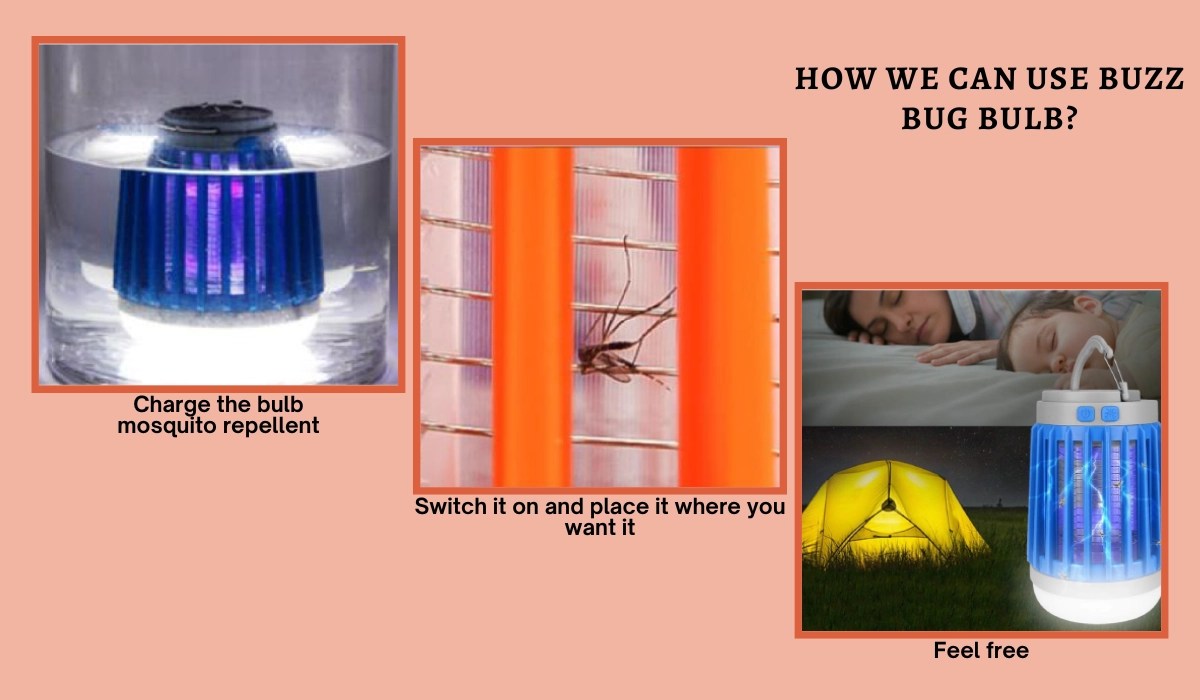 Buzz Bug Bulb Reviews How Does This Bug Zapper Actually Work?