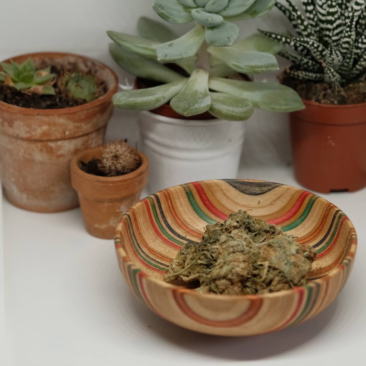 “Fully” recycled skateboard bowl Tecs