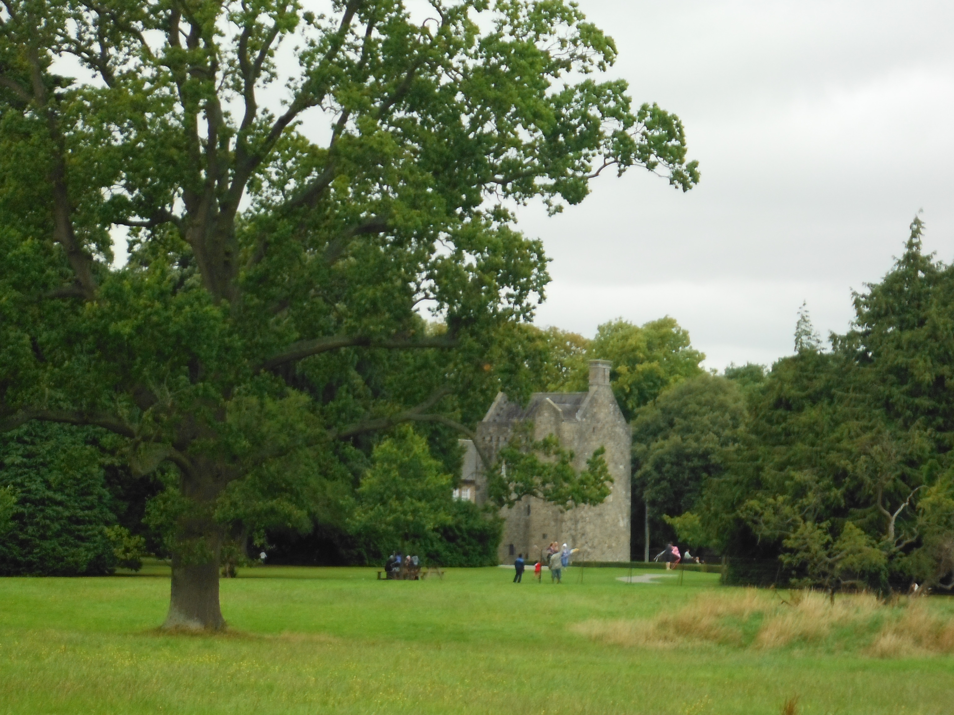 Irland im Aug 2015 teddy61