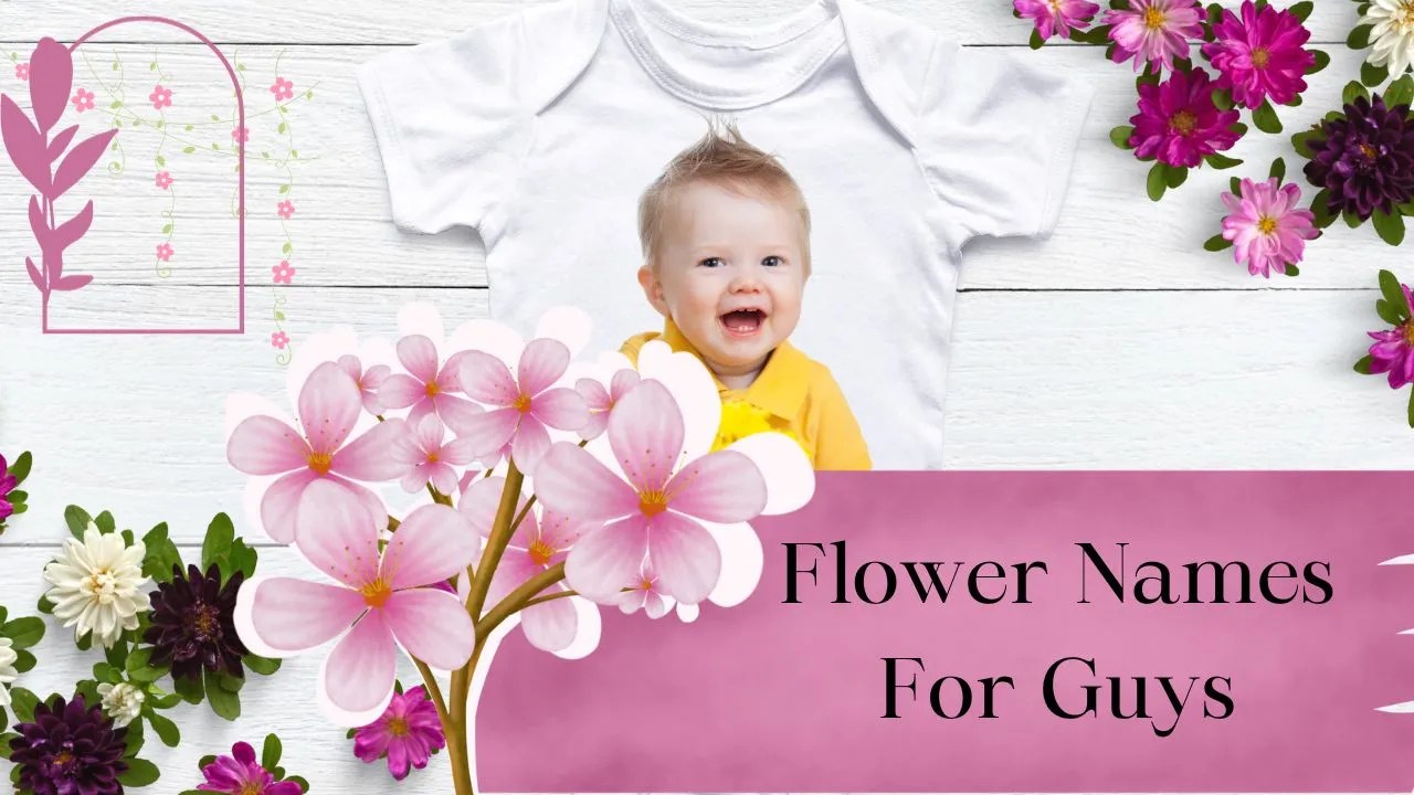 Flower Names for Guys TeddyCounty