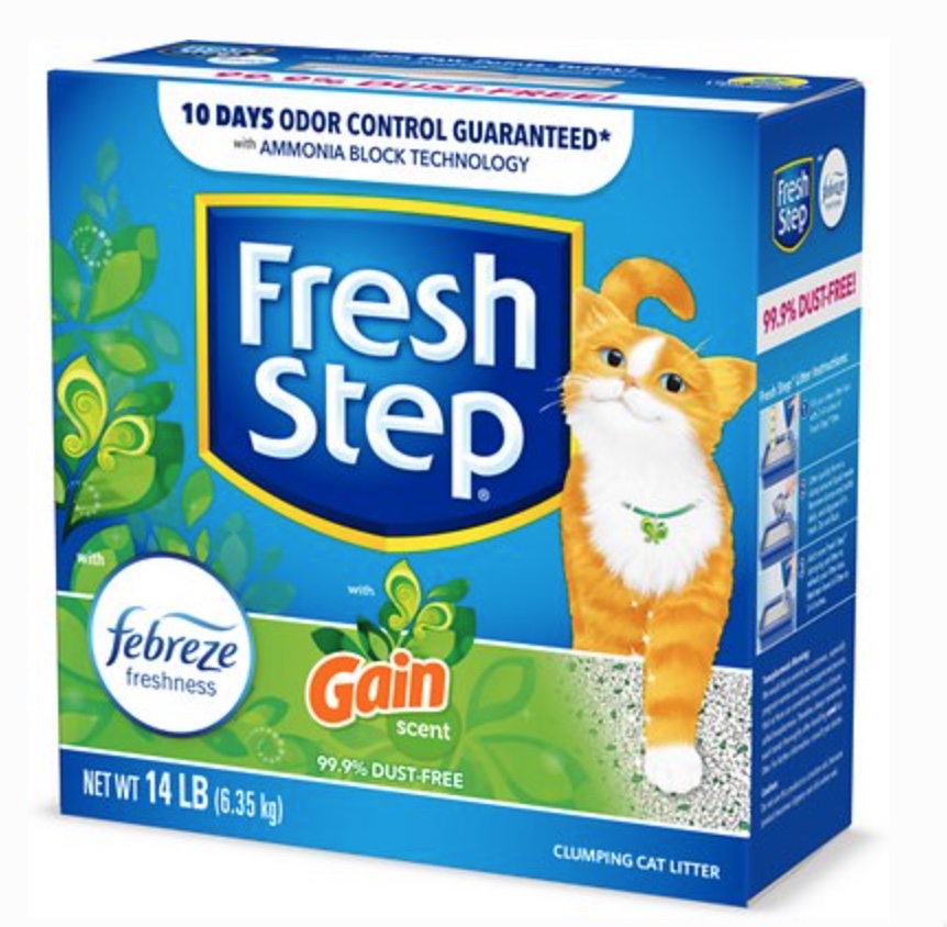 Bush Cats and Tree Cats Teddy The Diabetic Cat