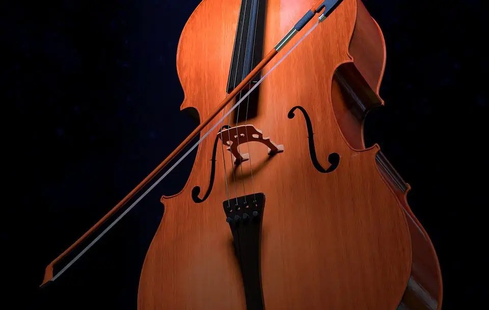 Top 5 Cellos For Beginners Ted's List
