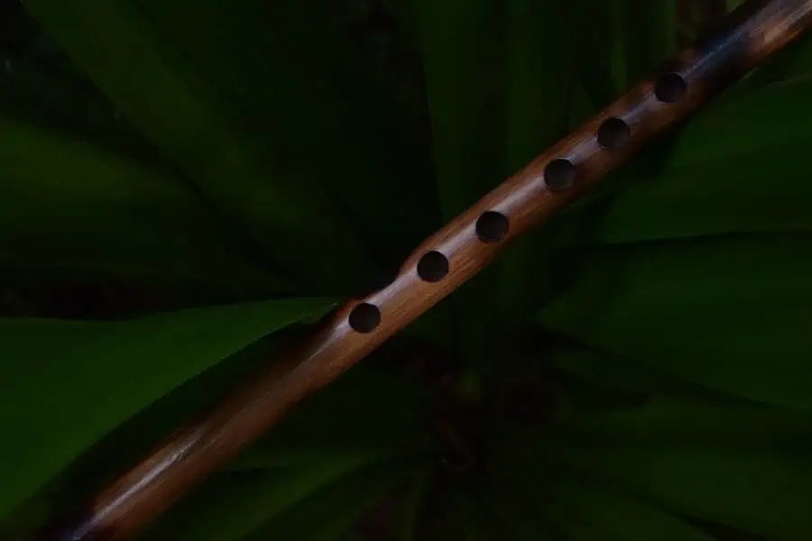 Flute Facts Ted's List
