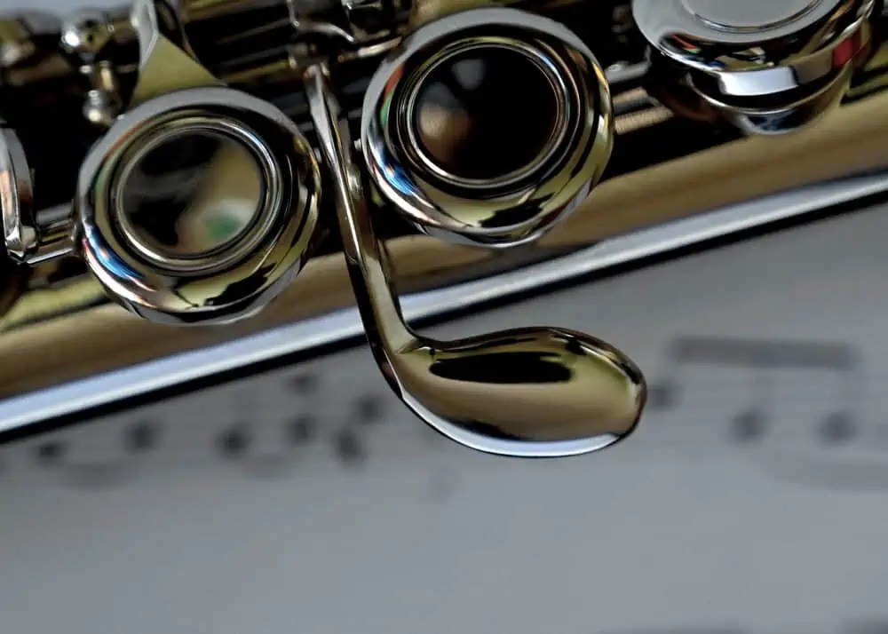 Beginners Guide To Learning The Flute Ted's List