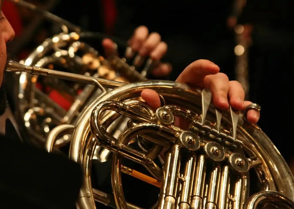 Beginners Guide To Learning The French Horn Ted's List