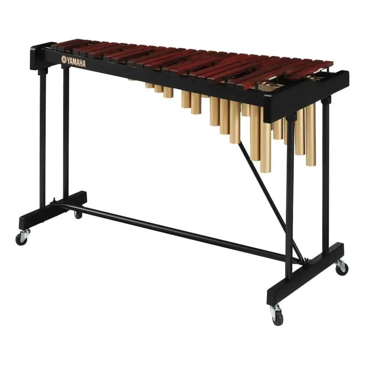 Percussion Family An Introduction Ted's List