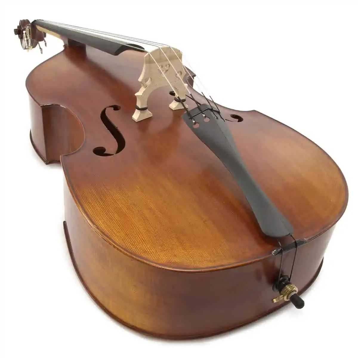 Best Double Bass For Beginners Ted's List