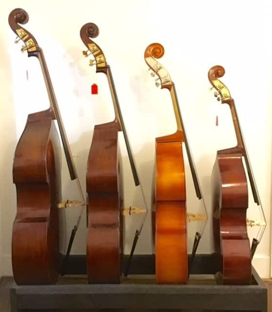 Best Double Bass For Beginners Ted's List